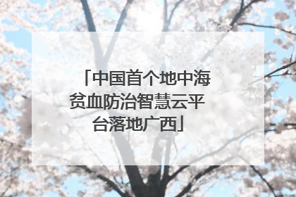 中国首个地中海贫血防治智慧云平台落地广西