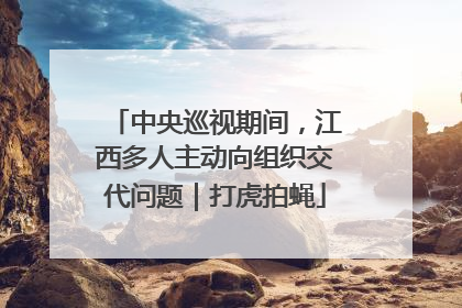 中央巡视期间，江西多人主动向组织交代问题｜打虎拍蝇