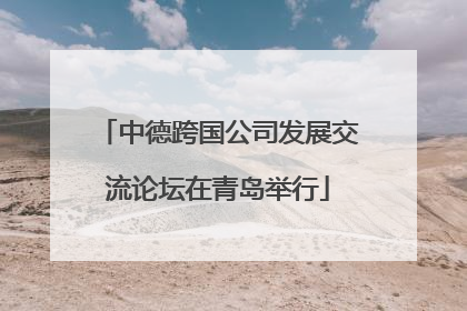 中德跨国公司发展交流论坛在青岛举行