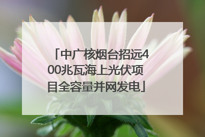 中广核烟台招远400兆瓦海上光伏项目全容量并网发电