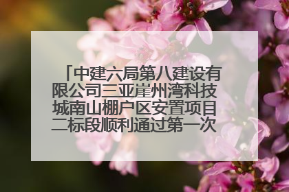 中建六局第八建设有限公司三亚崖州湾科技城南山棚户区安置项目二标段顺利通过第一次主体结构验收