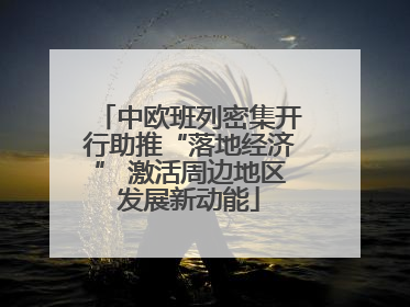 中欧班列密集开行助推“落地经济” 激活周边地区发展新动能
