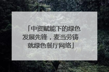 中资赋能下的绿色发展先锋，麦当劳铸就绿色餐厅网络
