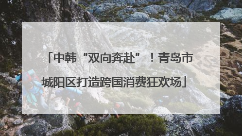 中韩“双向奔赴”！青岛市城阳区打造跨国消费狂欢场