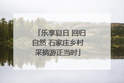 乐享夏日 回归自然 石家庄乡村采摘游正当时