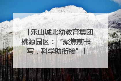 乐山城北幼教育集团桃源园区：“聚焦前书写，科学助衔接”