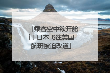乘客空中欲开舱门 日本飞往美国航班被迫改道