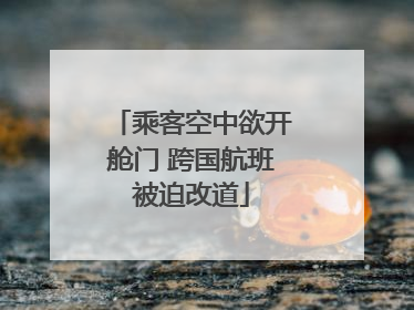 乘客空中欲开舱门 跨国航班被迫改道