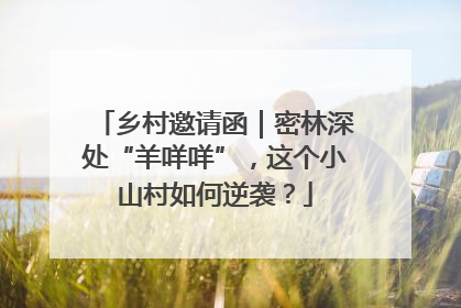 乡村邀请函｜密林深处“羊咩咩”，这个小山村如何逆袭？