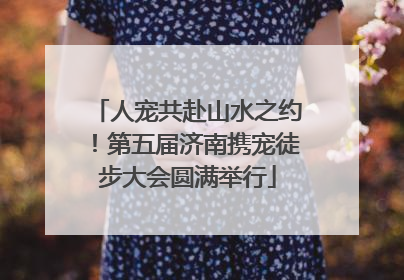 人宠共赴山水之约！第五届济南携宠徒步大会圆满举行