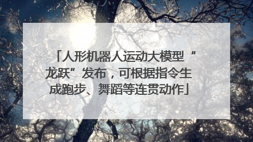 人形机器人运动大模型“龙跃”发布，可根据指令生成跑步、舞蹈等连贯动作