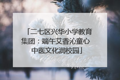 二七区兴华小学教育集团：端午艾香沁童心 中医文化润校园
