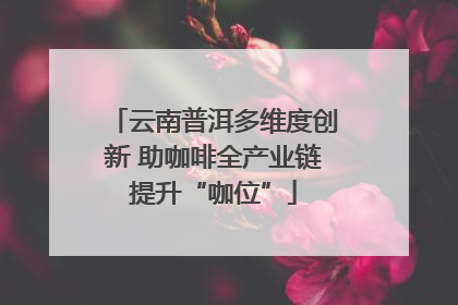 云南普洱多维度创新 助咖啡全产业链提升“咖位”