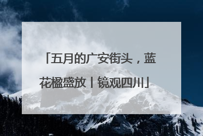 五月的广安街头，蓝花楹盛放丨镜观四川