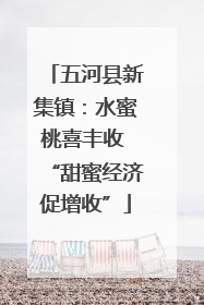 五河县新集镇：水蜜桃喜丰收 “甜蜜经济促增收”