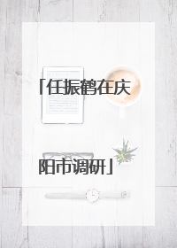 任振鹤在庆阳市调研