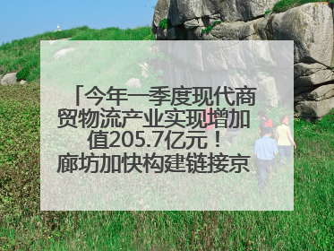 今年一季度现代商贸物流产业实现增加值205.7亿元！廊坊加快构建链接京津冀面向全世界的物流通道