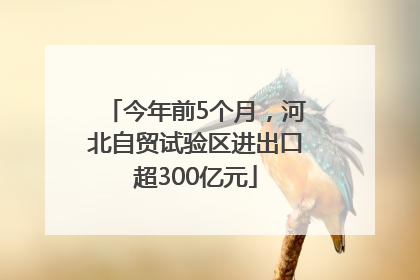今年前5个月，河北自贸试验区进出口超300亿元