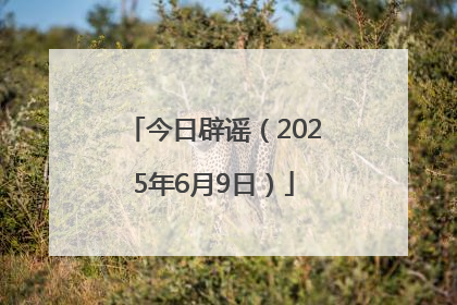 今日辟谣（2025年6月9日）