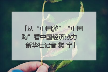 从“中国游”“中国购”看中国经济热力 新华社记者 樊 宇