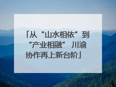 从“山水相依”到“产业相融” 川渝协作再上新台阶