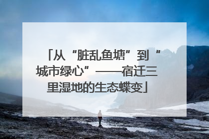 从“脏乱鱼塘”到“城市绿心”——宿迁三里湿地的生态蝶变
