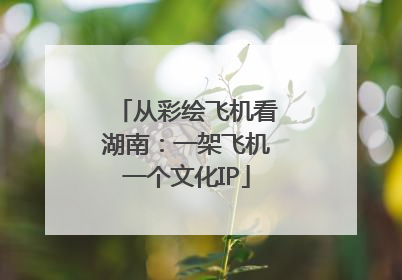 从彩绘飞机看湖南：一架飞机一个文化IP