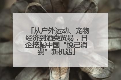 从户外运动、宠物经济到酒类贸易，日企挖掘中国“悦己消费”新机遇
