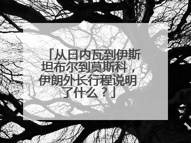 从日内瓦到伊斯坦布尔到莫斯科，伊朗外长行程说明了什么？