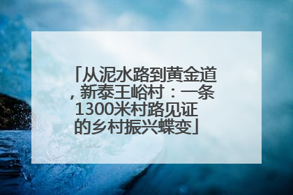 从泥水路到黄金道，新泰王峪村：一条1300米村路见证的乡村振兴蝶变