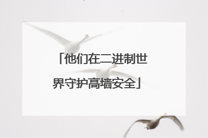 他们在二进制世界守护高墙安全