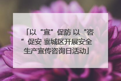 以“宣”促防 以“咨”促安 襄城区开展安全生产宣传咨询日活动
