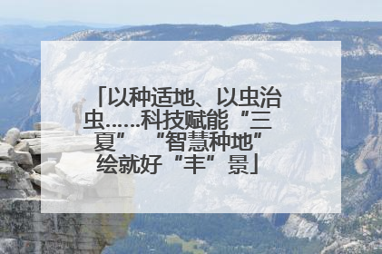 以种适地、以虫治虫……科技赋能“三夏” “智慧种地”绘就好“丰”景