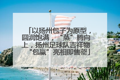 以扬州包子为原型，圆润饱满，“蒸”腾向上，扬州足球队吉祥物“包赢”亮相即售罄