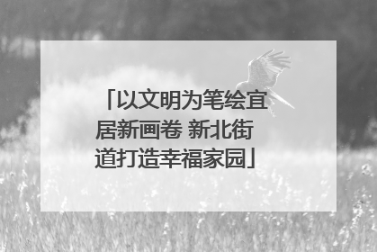 以文明为笔绘宜居新画卷 新北街道打造幸福家园
