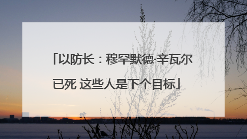 以防长：穆罕默德·辛瓦尔已死 这些人是下个目标