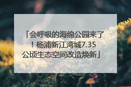 会呼吸的海绵公园来了！杨浦新江湾城7.35公顷生态空间改造焕新