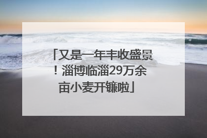 又是一年丰收盛景！淄博临淄29万余亩小麦开镰啦