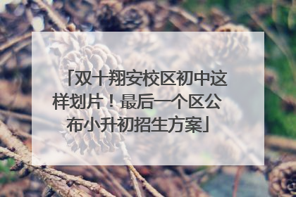 双十翔安校区初中这样划片！最后一个区公布小升初招生方案