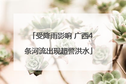 受降雨影响 广西4条河流出现超警洪水