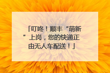 叮咚！顺丰“萌新”上岗，您的快递正由无人车配送！