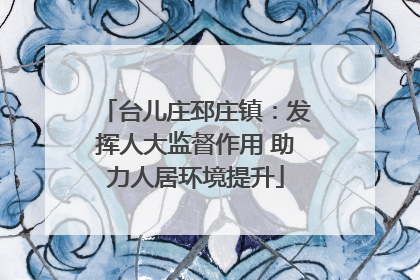 台儿庄邳庄镇：发挥人大监督作用 助力人居环境提升