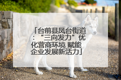 台前县凤台街道：“三向发力”优化营商环境 赋能企业发展新活力