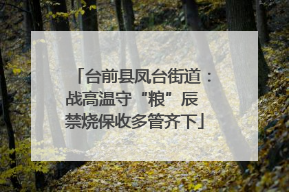 台前县凤台街道：战高温守“粮”辰 禁烧保收多管齐下