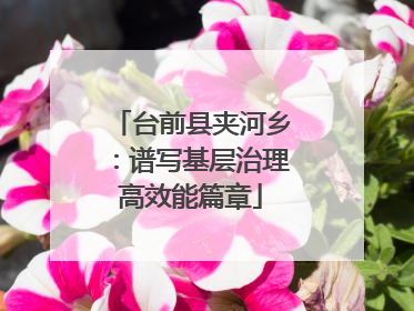 台前县夹河乡：谱写基层治理高效能篇章