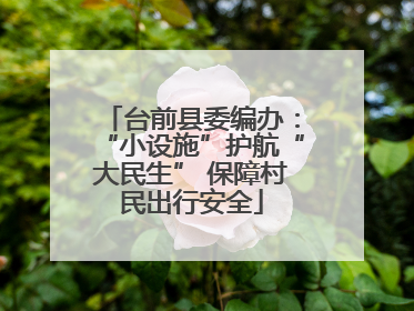 台前县委编办：“小设施”护航“大民生” 保障村民出行安全