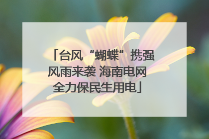 台风“蝴蝶”携强风雨来袭 海南电网全力保民生用电