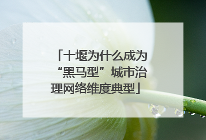 十堰为什么成为“黑马型”城市治理网络维度典型