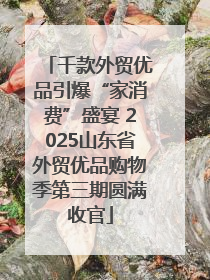 千款外贸优品引爆“家消费”盛宴 2025山东省外贸优品购物季第三期圆满收官