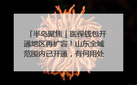 半岛聚焦｜医保钱包开通地区再扩容！山东全域范围内已开通，有何用处？如何操作？速戳→